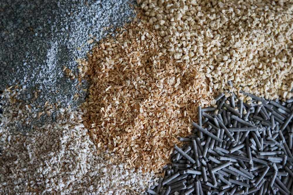 10 Best Clumping Cat Litters