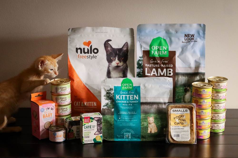 9 Best Kitten Food