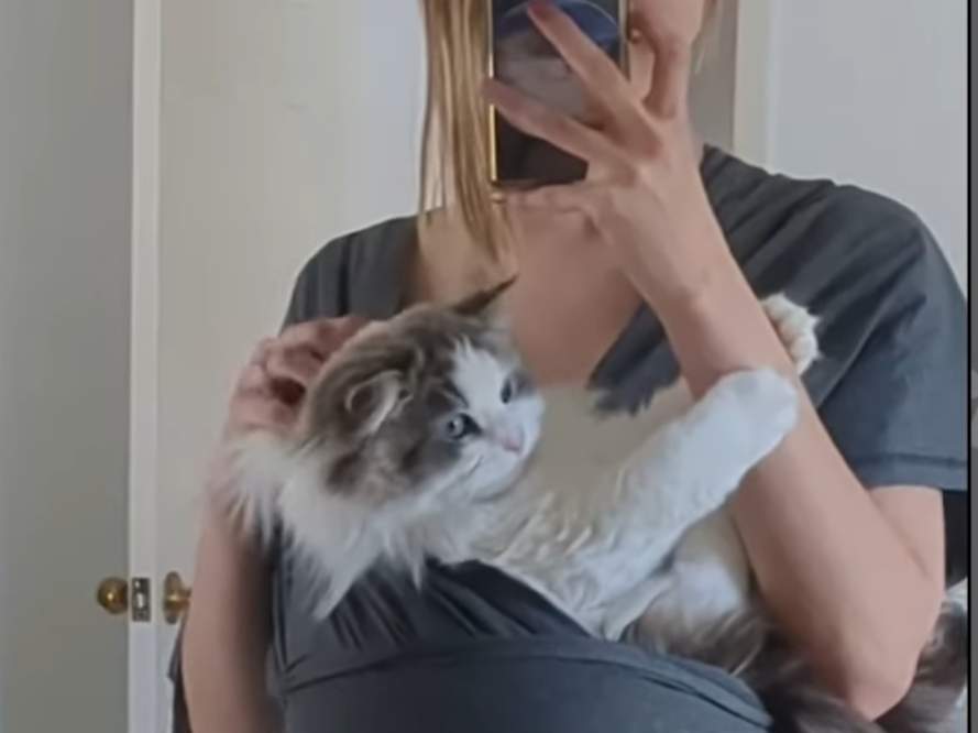 A silly, hyper personality