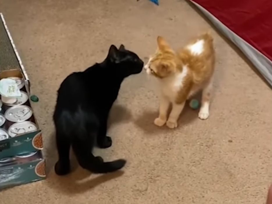 Abandoned on a college campus