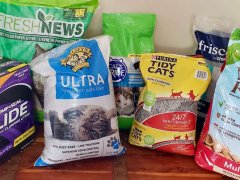 Best Affordable Cat Litters