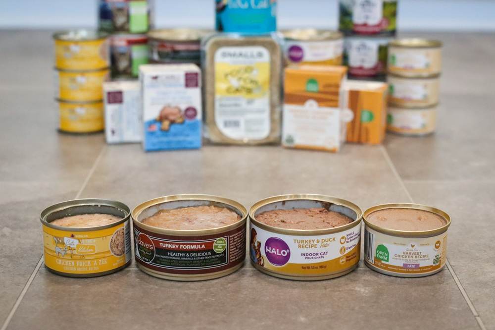 Best Wet Canned Cat Food 2025 Review Roundup Approach Taste Test