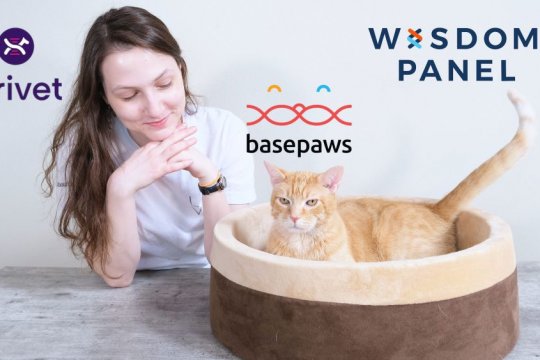 The 5 Best Cat DNA Tests: We Tried Them All