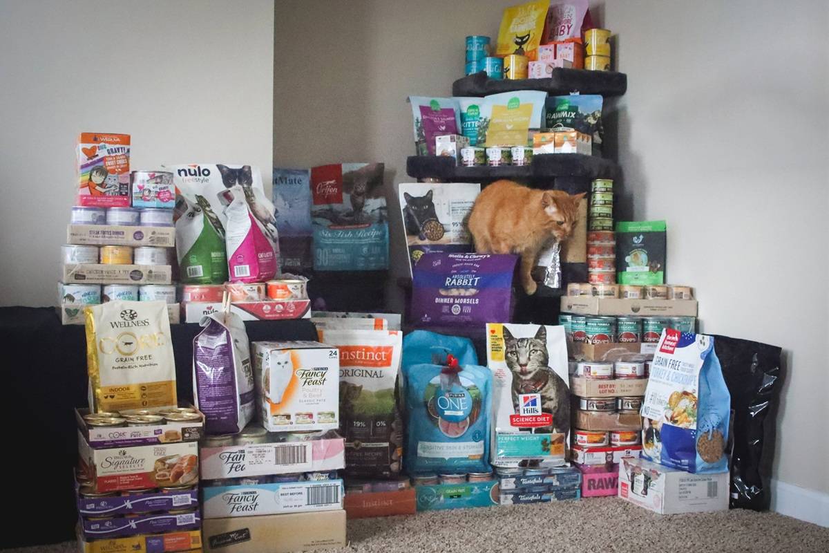 Cat Food Product Review Full Stock