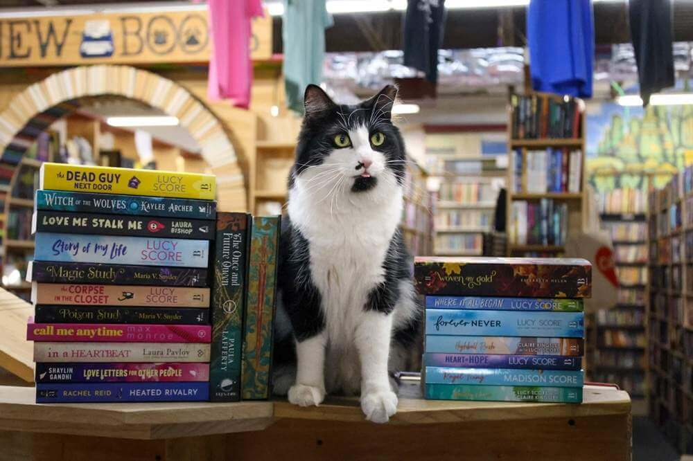 Cupboard Maker Books