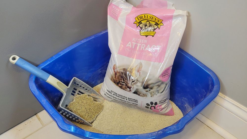 Dr. Elsey’s Kitten Attract Clumping Clay Litter