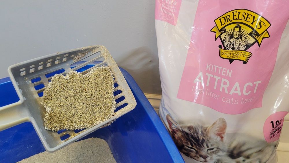 Dr. Elsey’s Kitten Attract Clumping Clay Litter