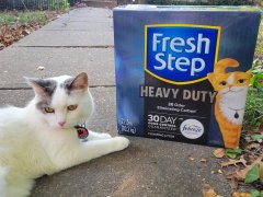 Fresh Step Heavy Duty Cat Litter