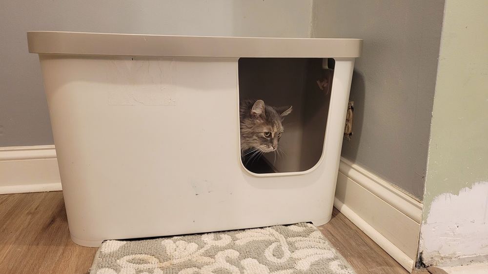 Frisco Multi-Function Covered Cat Litter Box