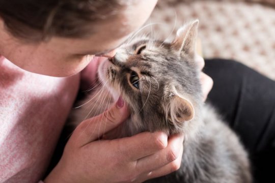 10 Ways Your Cat Is Communicating With You