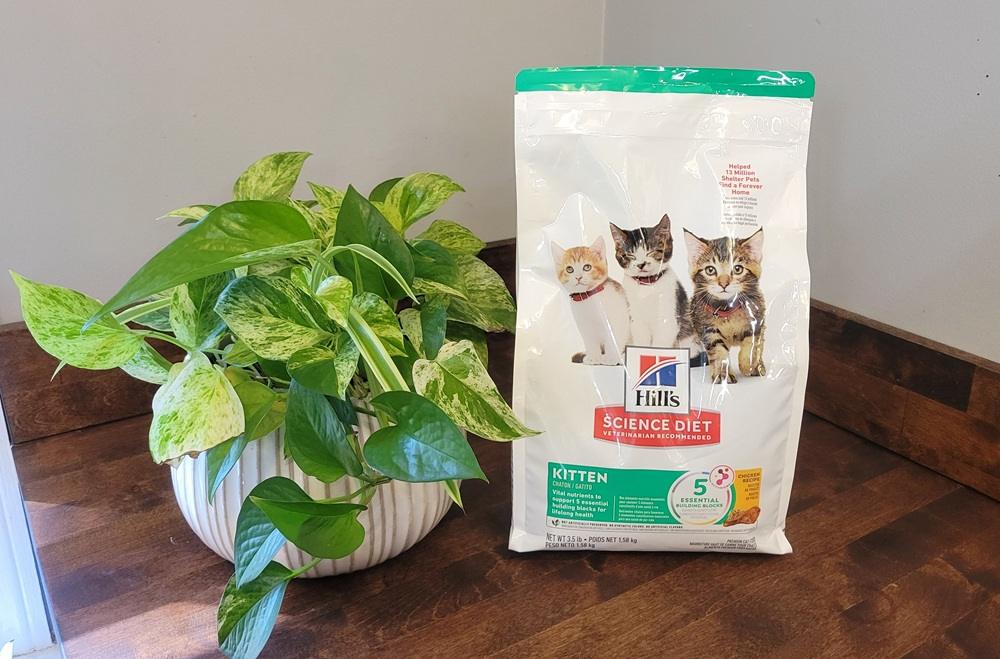 Hill’s Science Diet Kitten Healthy Development Chicken Recipe Dry Cat Food