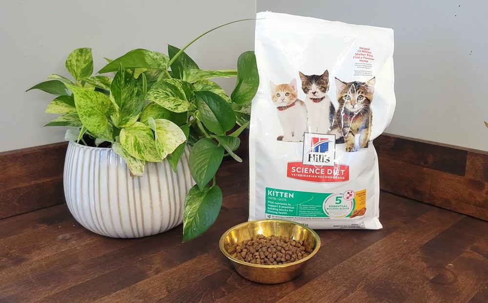 Hill’s Science Diet Kitten Healthy Development Chicken Recipe Dry Cat Food