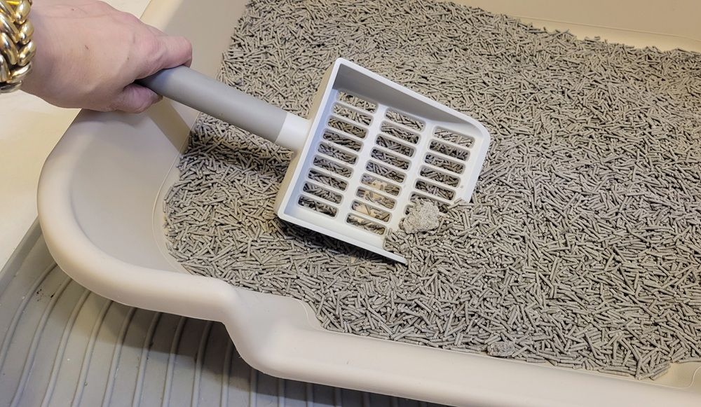 KittyGoHere Senior Cat Litter Box