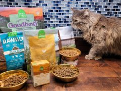 Open Farm Cat Food Review