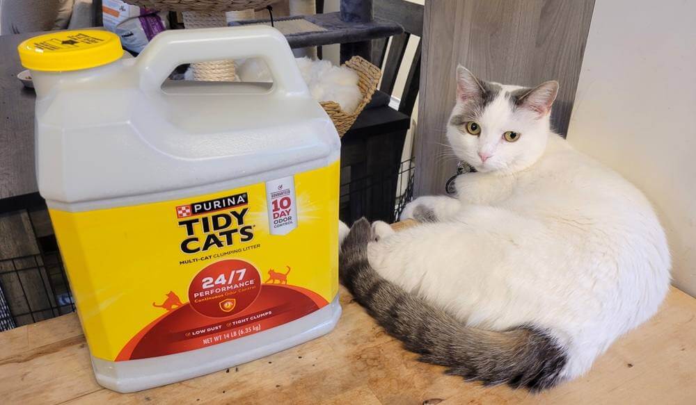 Tidy Cats 24/7 Performance Clumping Cat Litter